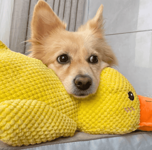 ZenDuckie™ Soothing Dog Toy